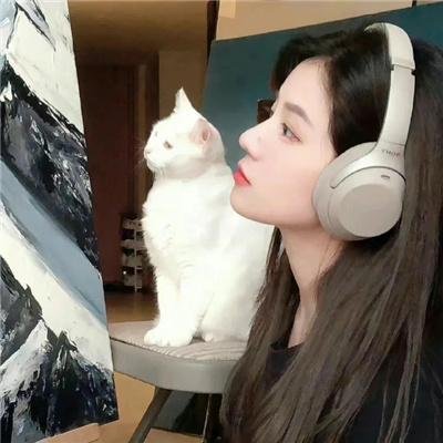 狸太怨